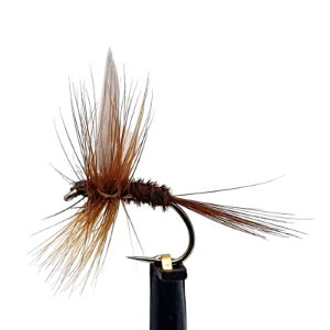 DRY FLIES PHEASANT TAIL SZ 12 (1 PACK OF 12)