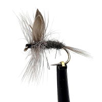 DRY FLIES BLUE DUN SZ 12 (1 PACK OF 12)