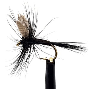 DRY FLIES BLACK GNAT SZ 12 (1 PACK OF 12)