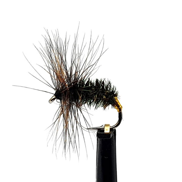 DRY FLIES COCH-Y-BONDU SZ 12 (1 PACK OF 12)