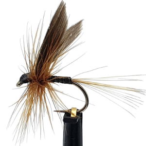 DRY FLIES GINGER QUILL SZ 12 (1 PACK OF 12)