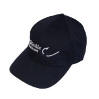 WSB CAP (1)