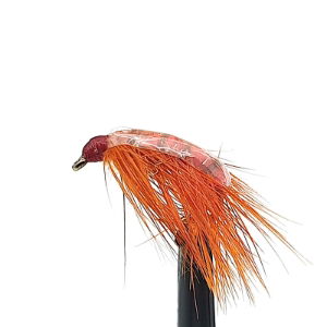 SHRIMPS ORANGE SZ 10 (1 PACK OF 12)