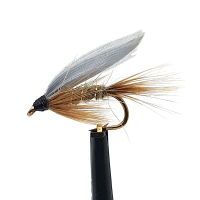 WET FLIES GOLD RIBBED HARE'S EAR SZ 10 (1 PACK OF 12)