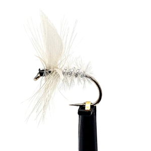 DRY FLIES WHITE MOTH SZ 12 (1 PACK OF 12)