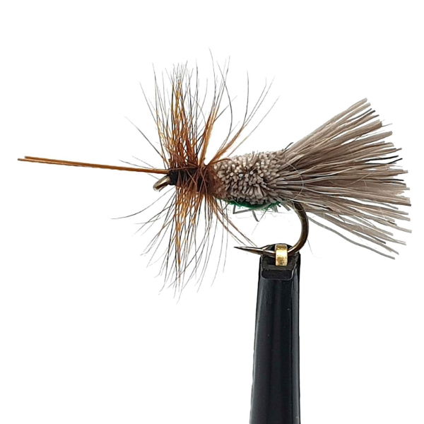 SEDGES G & H SEDGE SZ 12 (1 PACK OF 12)