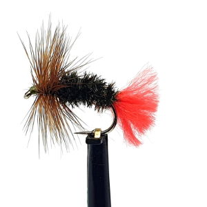 DRY FLIES RED TAG SZ 12 (1 PACK OF 12)