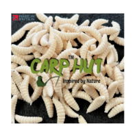 ARTIFICIAL PINKIE MAGGOT WHITE (1)