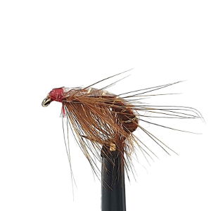 SHRIMPS BROWN SZ 10 (1 PACK OF 12)