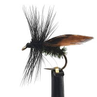 DRY FLIES ALDER SZ 12 (1 PACK OF 12)