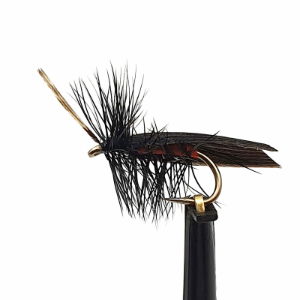 SEDGES BLACK HORNED SZ 12 (1 PACK OF 12)