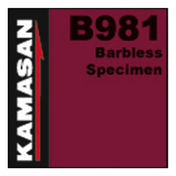 KAMASAN B981 BARBLESS 8 (1 PK OF 20)