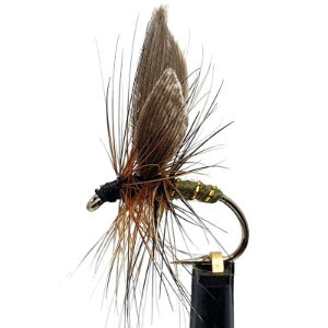 DRY FLIES GREENWELLS GLORY SZ 12 (1 PACK OF 12)