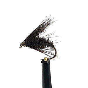 WET FLIES BLACK & PEACOCK SPIDER SZ 10 (1 PACK OF 12)