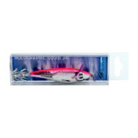 WSB HOLOGRAPHIC SQUID JIGS