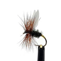 DRY FLIES COACHMAN SZ 12 (1 PACK OF 12)